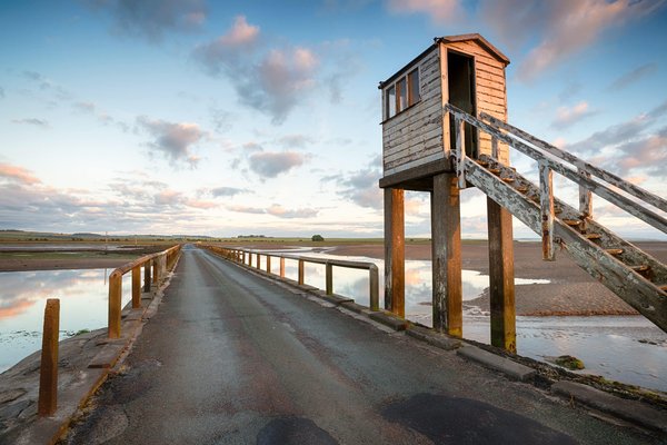 Comment construire un petit refuge pour oiseaux à partir de matériaux de récupération ?