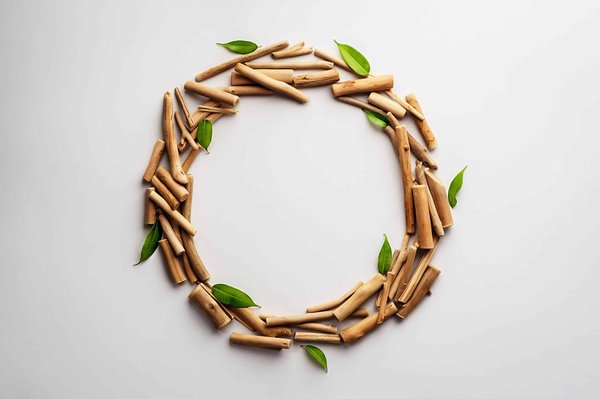 Quelles techniques de conservation peuvent prolonger la durée de vie des sculptures en plein air ?